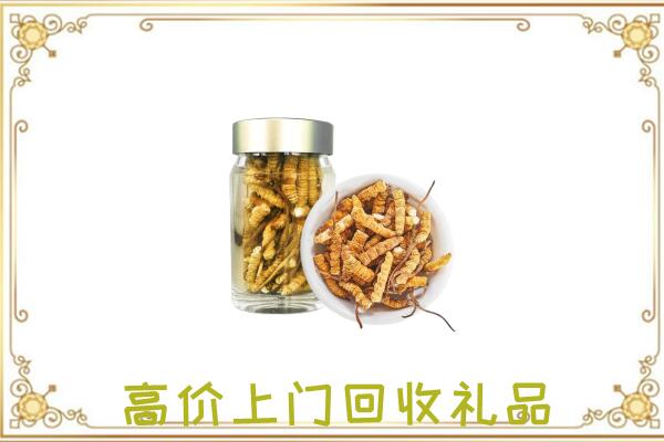 绩溪周边回收虫草